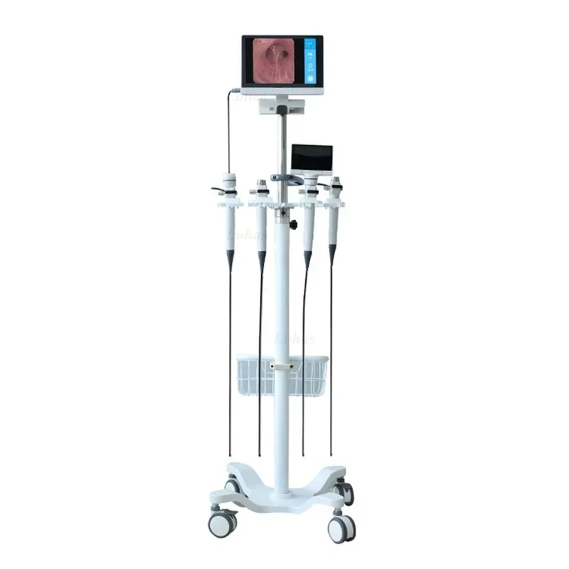 Medical Lab Video - Bronchoscope flexible LHBF Por HD Video,