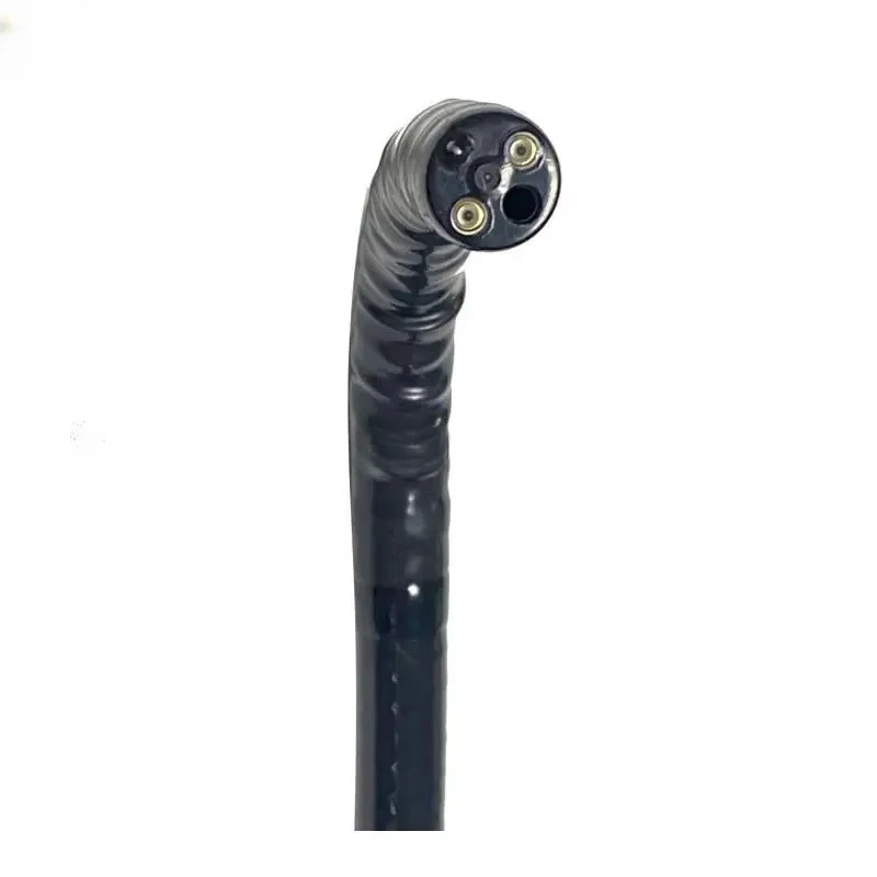 Endoscope vidéo vétérinaire po - Medical Lab Video avis et prix